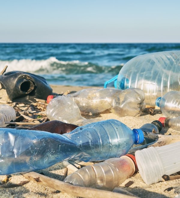 Plastic on the Beach
