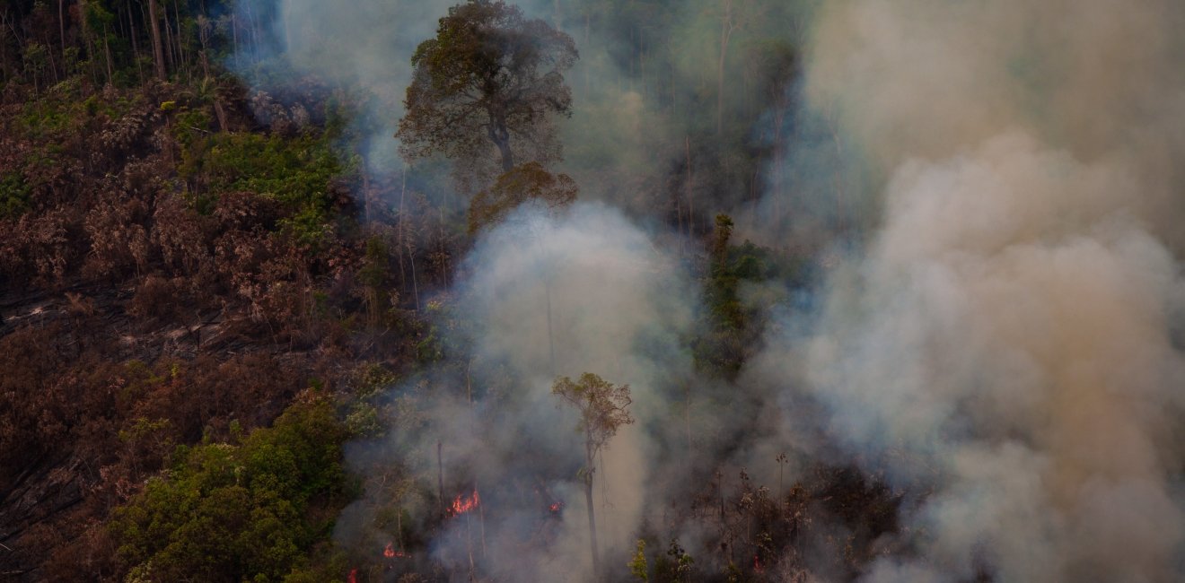 Image  - Fire in the Amazon