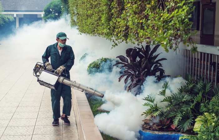 Dengue Fumigation 