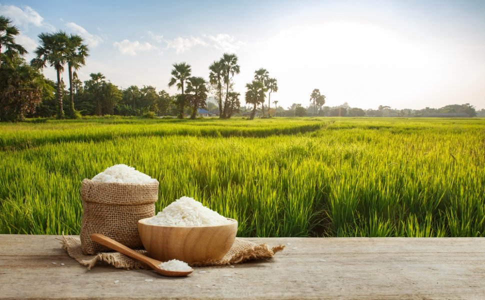 Rice in front of a field