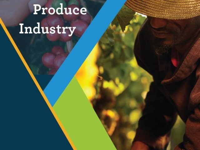 Farm Labor and Mexico's Export Produce Industry