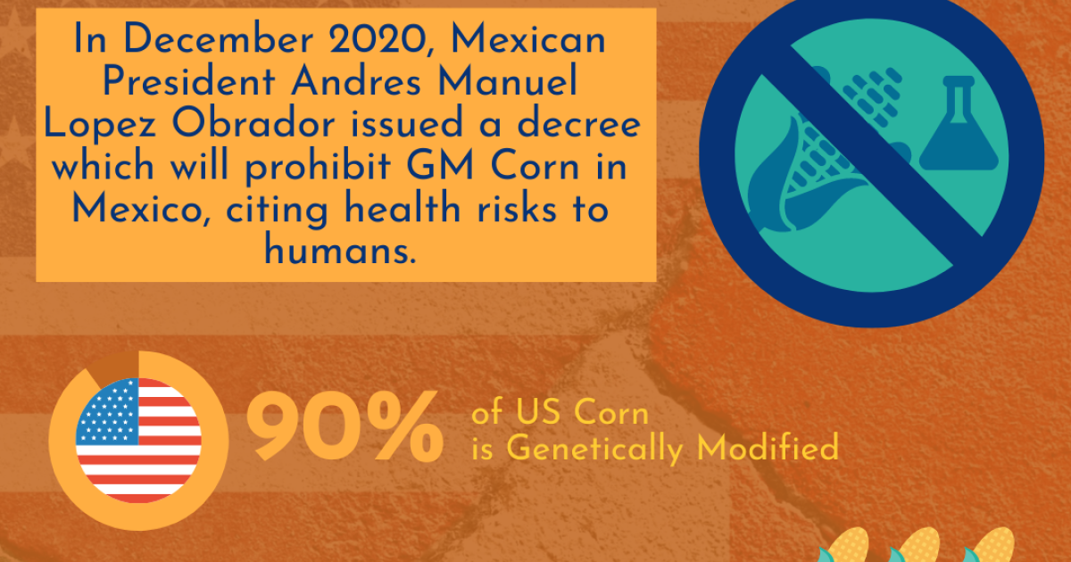 Infographic Mexico, Modified Corn, and USMCA Wilson Center