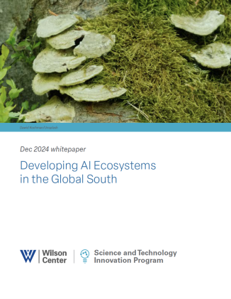 Developing AI Ecosystems in the Global South_Cover Page