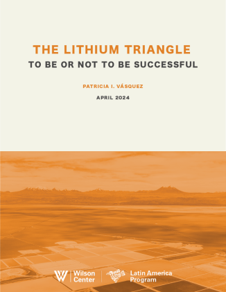 The Lithium Triangle_To Be or Not To Be Successful_Cover