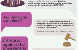 GBPVAW in Mexico - Infographic