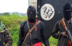 Islamic State fighters in Mozambique wide