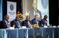 Brown Capital Management Africa Forum High-Level Meeting on Sovereign Wealth Funds