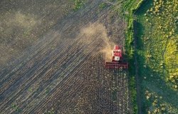 Argentina harvest