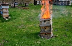 The burning of diseased beekeeping equipment